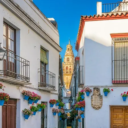 Apartment Atico A 1 Minuto De La Mezquita-catedral