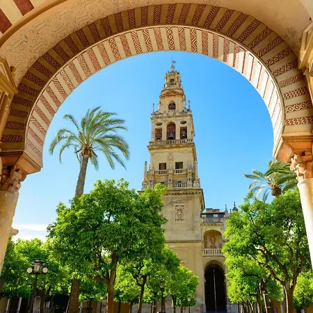 Apartment Atico A 1 Minuto De La Mezquita-catedral *